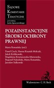 Pozainstan... - Paweł Cioch, Hanna Knysiak-Molczyk, Jakub Królikowski -  foreign books in polish 