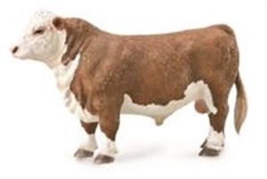 Obrazek Byk rasy Hereford