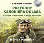 Zobacz : Przygody k... - Kazimierz Sławiński