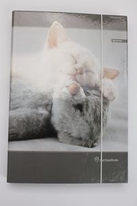 Picture of Teczka A4 z gumką