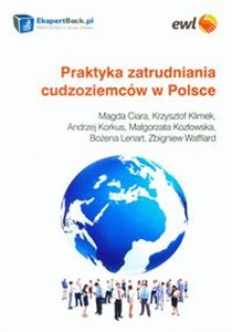 Picture of Praktyka zatrudniania cudzoziemców w Polsce