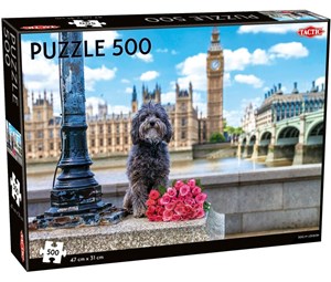 Picture of Puzzle Dog in London 500