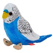 Książka : Papuga fal...