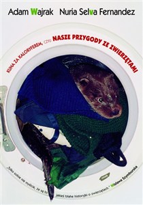 Obrazek Kuna za kaloryferem