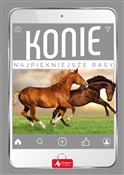 Konie Najp... - Katarzyna Piechocka -  books from Poland