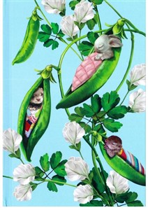 Picture of Notes Gee Pea Pods linia NARCISSUS