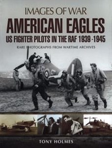 Obrazek American Eagles US Fighter Pilots in the RAF 1939 - 1945