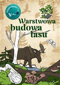 Warstwowa ... - Katarzyna Kopiec-Sekieta -  books in polish 