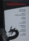 Wiedźmin - Andrzej Sapkowski -  foreign books in polish 