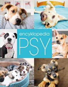 Picture of Encyklopedia Psy