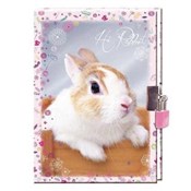 Książka : Pamiętnik ...