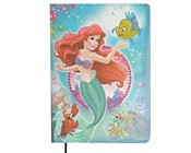 polish book : Notatnik z...