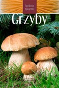 polish book : Grzyby. Sp... - Opracowanie zbiorowe