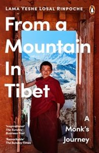 Obrazek From a Mountain In Tibet