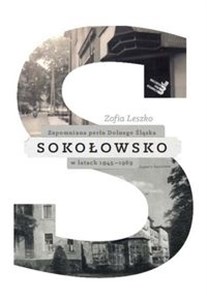 Obrazek Sokołowsko Zapomniana perła Dolnego Śląska w latach 1945–1989