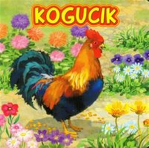 Picture of Kogucik
