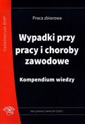 Wypadki pr... - Jan M. Pióro, Jerzy Wroński, Józef M. Boguszewski -  foreign books in polish 
