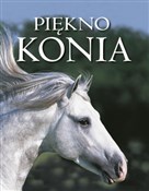 Piękno kon... - Nicola Jane Swinney -  books in polish 