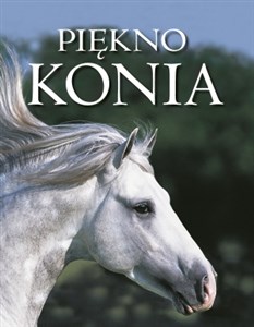 Picture of Piękno konia