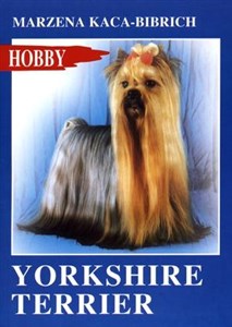 Picture of Yorkshire terrier
