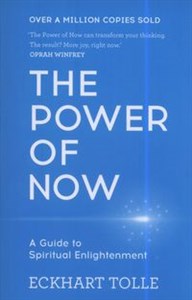 Picture of The Power of Now A Guide to Spiritual Enlightenment