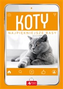 polish book : Koty Najpi... - Małgorzata Młynek
