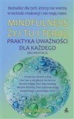 Mindfulnes... - Gill Hasson -  foreign books in polish 