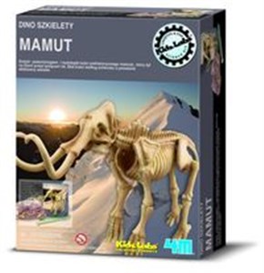 Picture of Dino szkielety Mamut