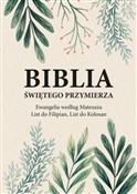 Biblia Świ... - Andrzej Dorociński -  foreign books in polish 