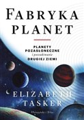 polish book : Fabryka pl... - Elizabeth Tasker