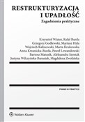 Restruktur... - Rafał Burda, Grzegorz Godlewski, Mariusz Hyla, Wojciech Kalinowski, Marta Krukowska, Krzanicka-Burda -  books in polish 