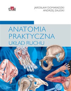 Picture of Anatomia praktyczna Układ ruchu