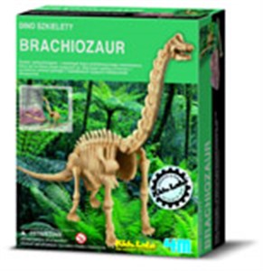 Picture of Dino szkielety Brachiosaurus