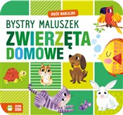 Książka : Bystry mal... - Opracowanie Zbiorowe