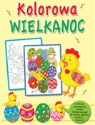 Kolorowa W... - Wydawnictwo Wilga -  foreign books in polish 