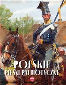 Polskie pi... - Agnieszka Nożyńska-Demianiuk -  foreign books in polish 