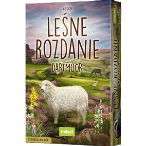 Obrazek Gra Leśne rozdanie Dartmoor