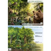 Plansza de... - Opracowanie Zbiorowe -  books from Poland