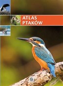 Polska książka : Atlas ptak... - Opracowanie Zbiorowe