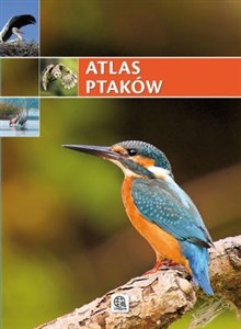 Obrazek Atlas ptaków