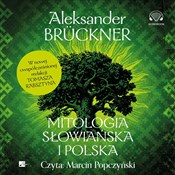 Polska książka : Mitologia ... - Aleksander Bruckner
