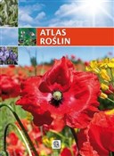 Atlas rośl... - Renata Krzyściak-Kosińska, Marek Kosiński -  Polish Bookstore 