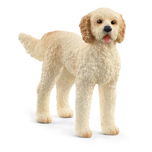 Obrazek Goldendoodle SLH13939