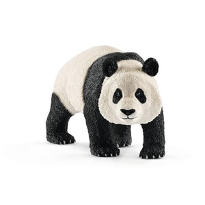 Obrazek Panda Wielka Samiec SLH14772