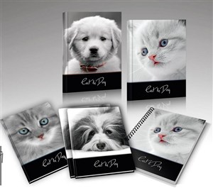 Picture of Zeszyt A5/16K linia Cat&Dog (20szt)