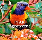 Poznajemy ... - Rafał Wejner -  books from Poland