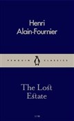 polish book : The Lost E... - Henri Alain-Fournier