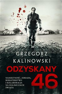 Picture of Odzyskany 46