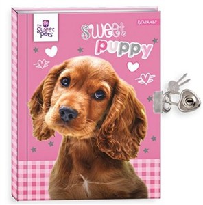 Picture of Pamiętnik z kłódką