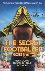 Picture of The Secret Footballer: What Goes on Tour